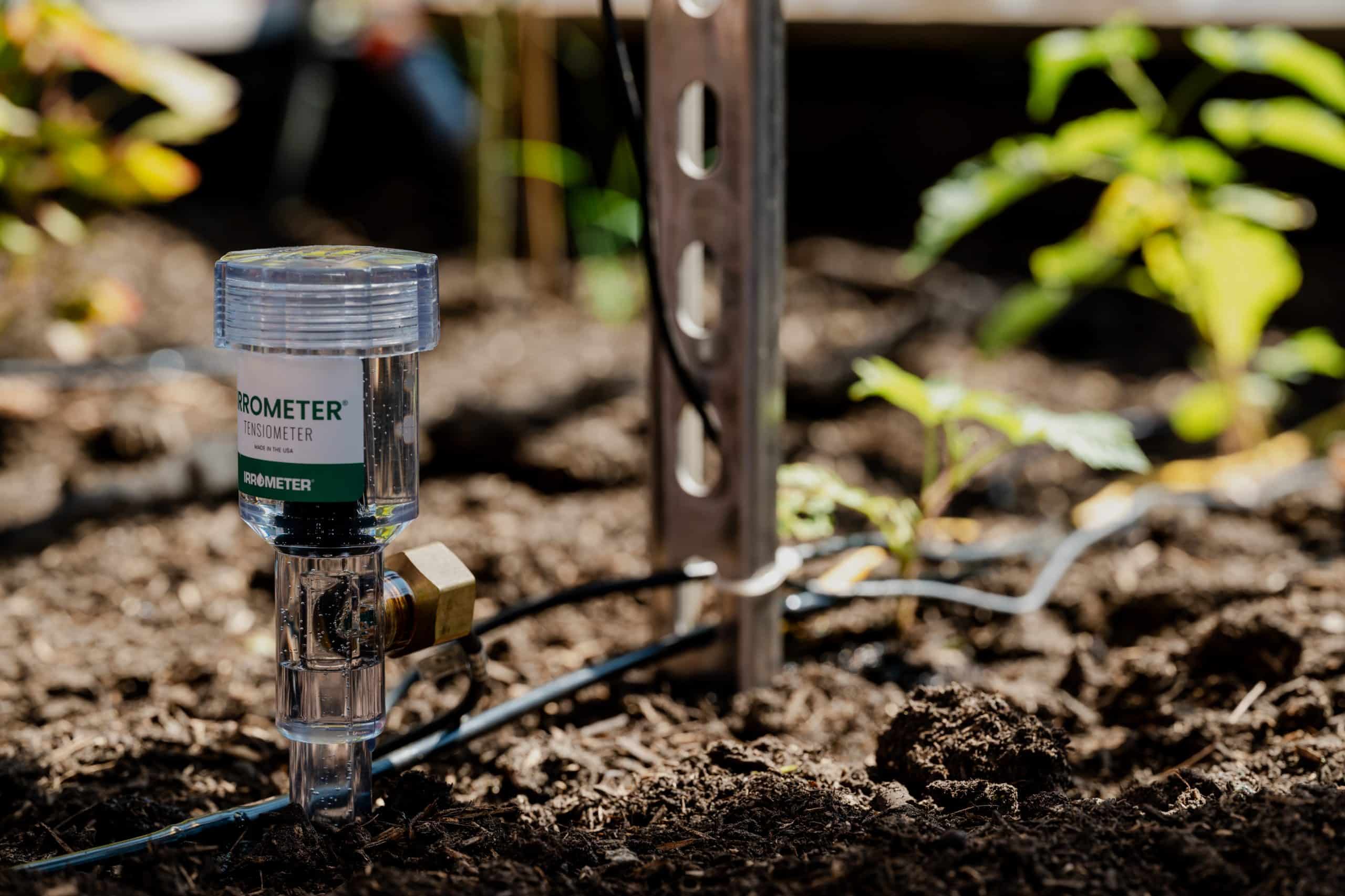 Schutz der Umwelt - ©Ilkay Karakurt